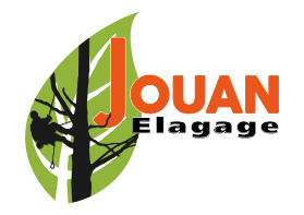 Elagage Pau - Elagage Aire-sur-l'Adour - Jouan Elagage