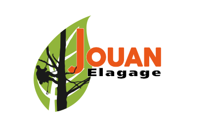 Elagage Pau - Elagage Aire-sur-l'Adour - Jouan Elagage